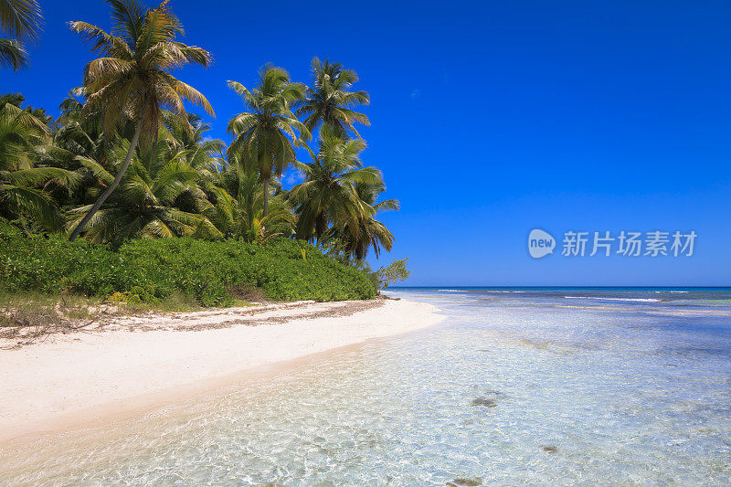 热带天堂:沙滩和游艇- Saona岛，加勒比海